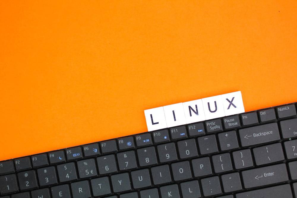 Linux habilidades esenciales para el éxito de cada proyecto
